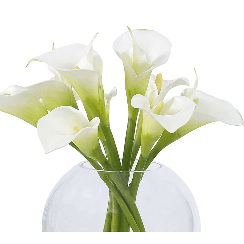 오 하 이오 주. - 200031.