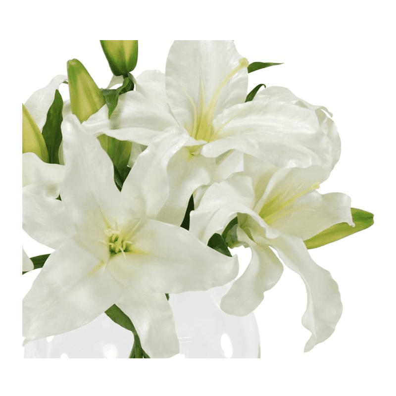 오 하 이오 주 - 200032