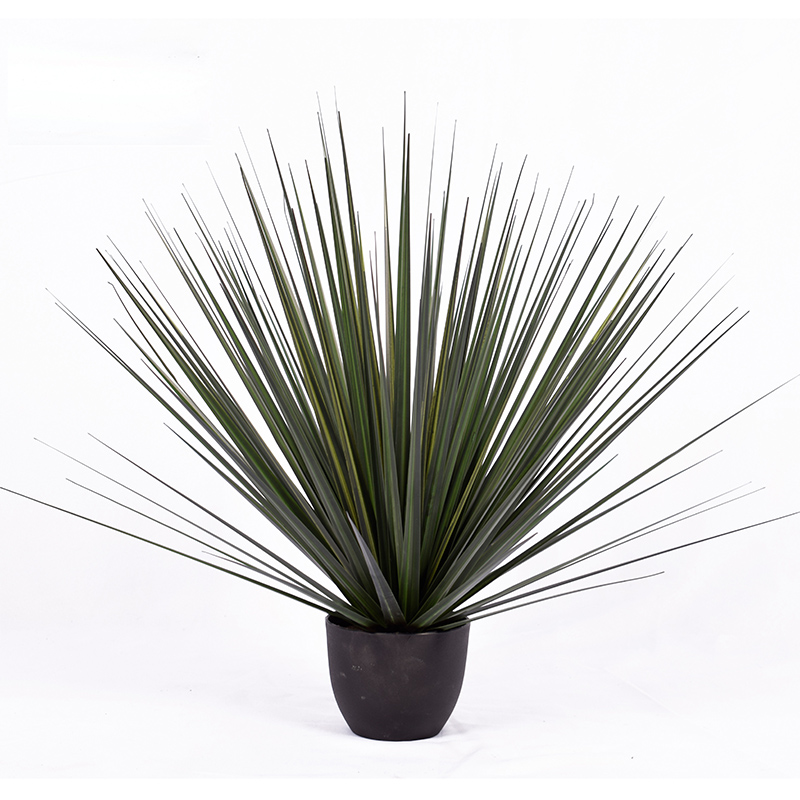 OH10920000 1 / OH10920000 2 / OH10920000 3