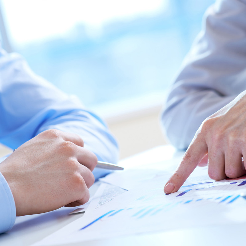 내 림 밀 림 과 상 밀 림 의 특징