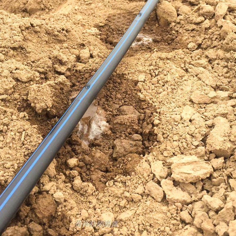 점적 관개 시스템 의 주요 구성 부분 은 무엇 입 니까?