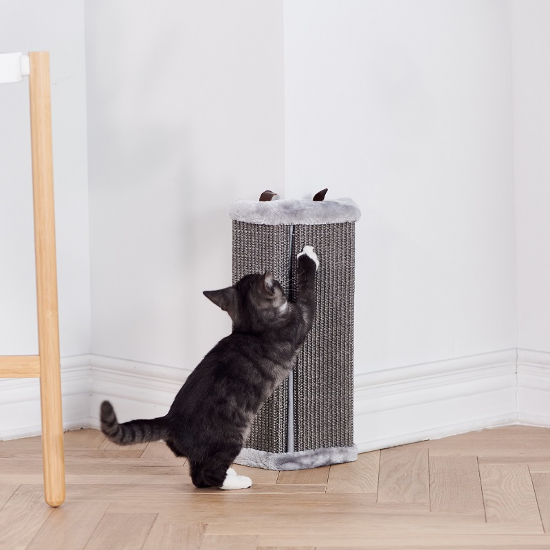 고양이 스크래 처 1