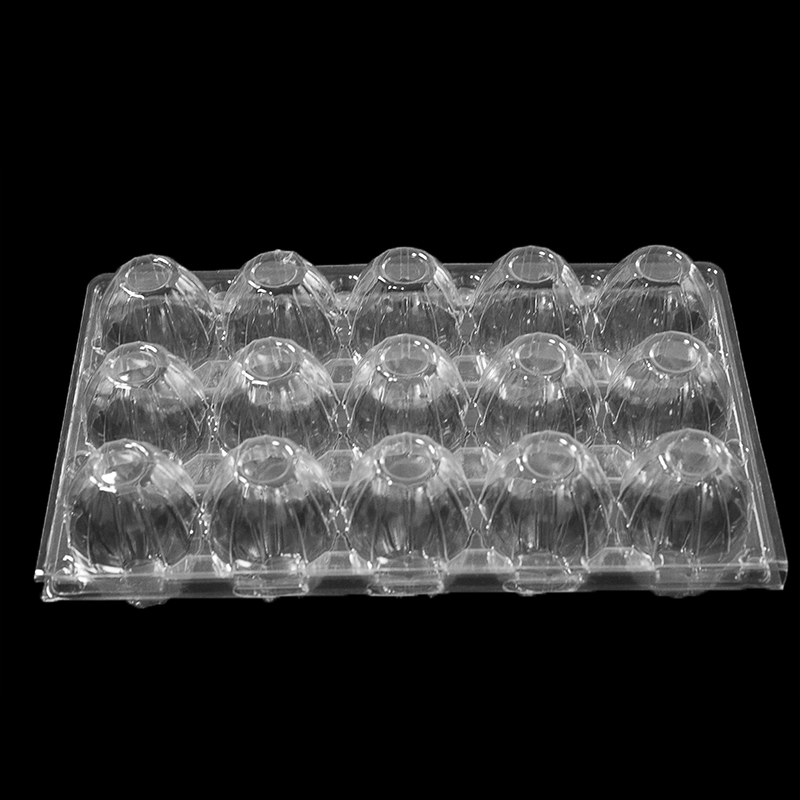 달걀 15 개용 플라스틱 트레이