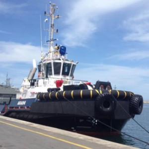 내구성 해양 부두 설비 예인선 호 현