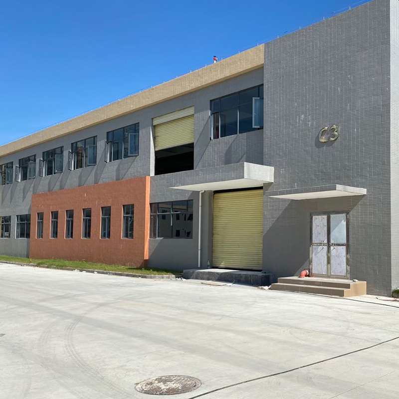 참죽나무 분공장 의 설립