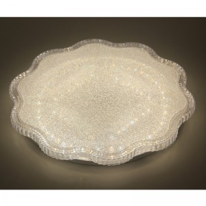 CX 245 헤드라이트