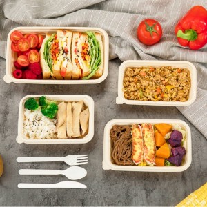 사각형 모양 친환경 퇴비 일회용 식품 저장 용기 테이크 아웃 옥수수 전분 생분해 성 식품 용기