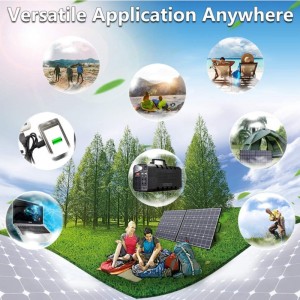 100 W 태양 열 폴 더 백