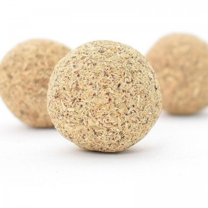 다가 눔 cuspidatum