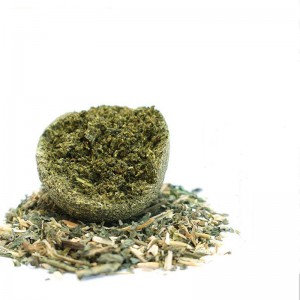 고양이 민트 공