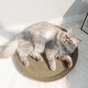 체리 고양이 그릇을 잡아라