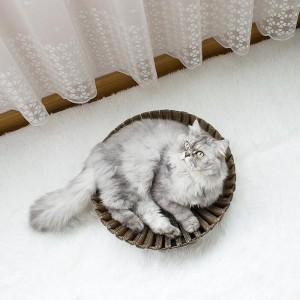 해바라기 종이 고양이 둥지