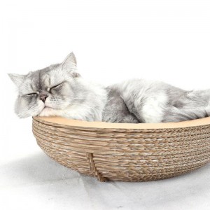 종이 고양이 그릇 스크래치 보드 둥지