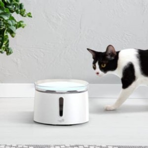 2L 자동 물 디스펜서