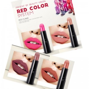 오래 지속되는 개인 라벨 립스틱