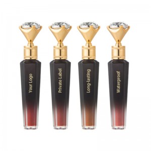 새로운 소재 Lipgloss.