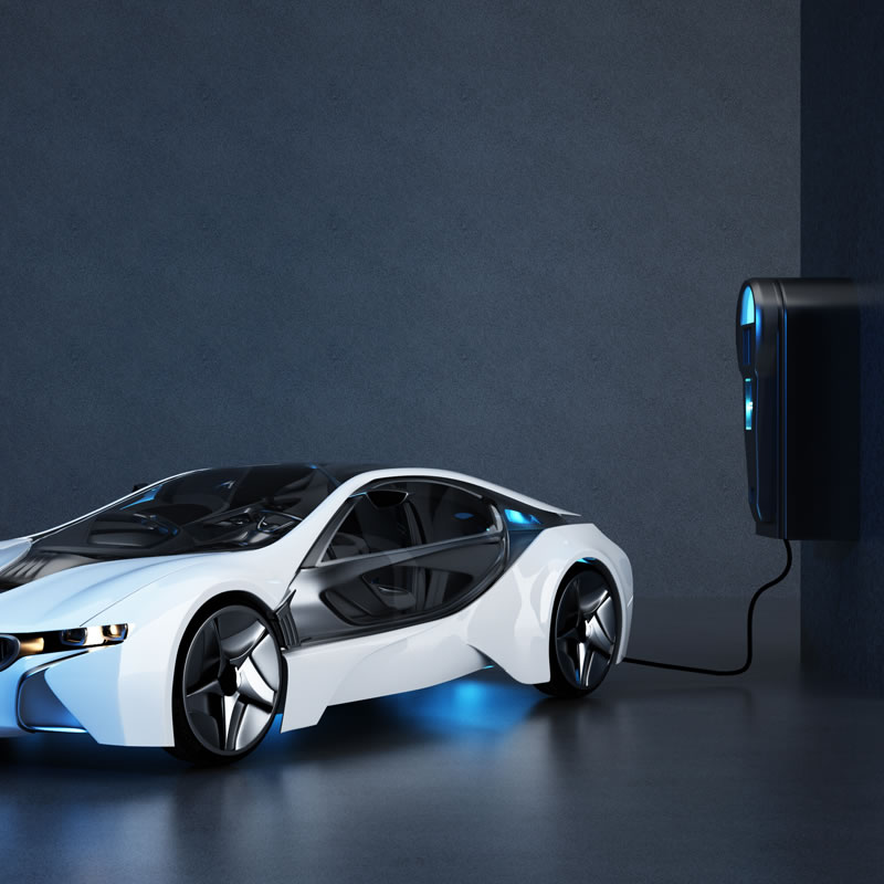 당신의 무역 조건은 무엇입니까?.