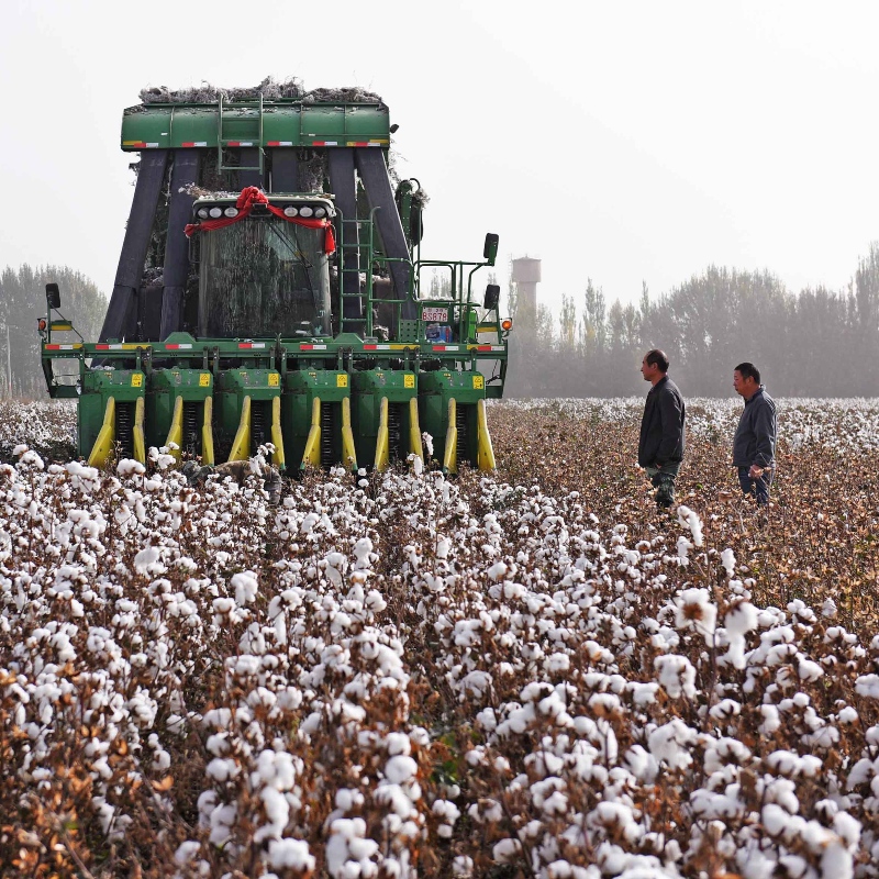 Levis는 Xinjiang 이상의 BCI 보드를 그만 두었습니다