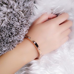 신선한 차가운 공기 티타늄 강철 팔찌