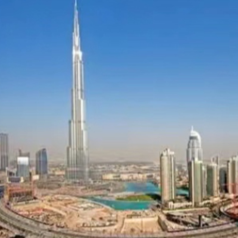 그것들은 전시회에 참여하고 싶지만 갈 시간이 없어야합니다.