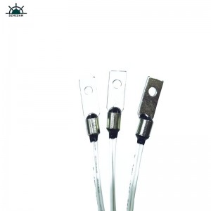 중국 공장 OEM 사용자 정의 B 값 4050K 10K 옴 NTC 서미스터 온도 센서 3D 인쇄 기계