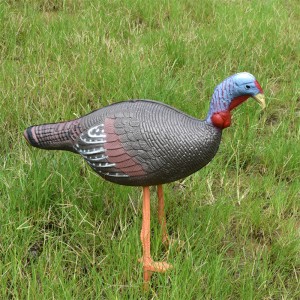 긴 옥외 41T3D2 3D 닭고기 대상 양궁 실물로 원하는 대상을 사용하여 placice 촬영