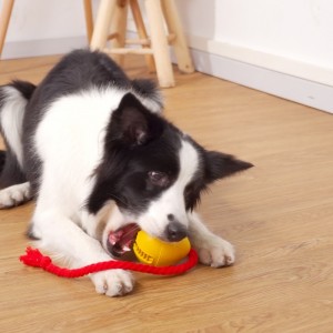 고무 누출 스낵 개 장난감