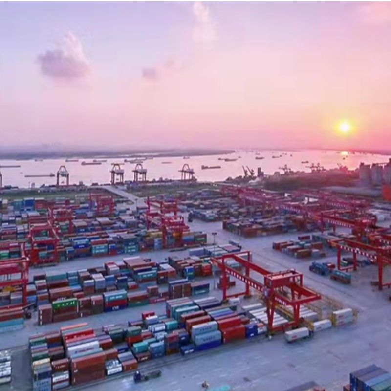 최근 Sino US Shipping 가격의 하락