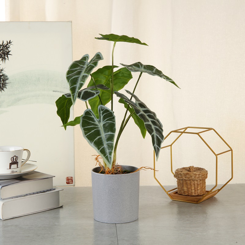 가정 장식을위한 냄비에 높은 시뮬레이션 진짜 진짜 감동적인 인공 녹색 식물