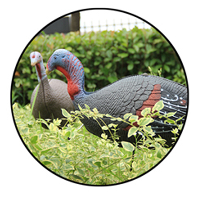 행복한 추수 감사절