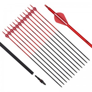 Ellongarrow 115538 30 \\\\ \\\