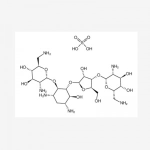 네오 마이신 설페이트