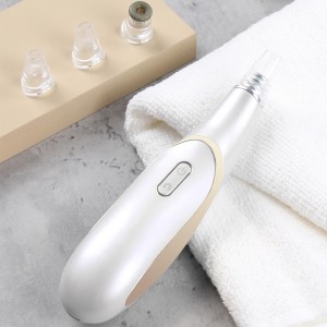 전기 블랙 헤드 진공 청소기