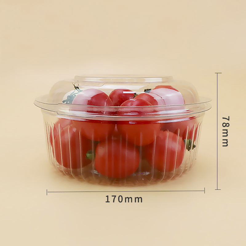 플라스틱 일회용 투명한 신선한 과일 저장 포장 컨테이너 과일 상자