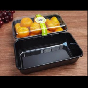 두리안 박스 195*105*60mm HGF-08