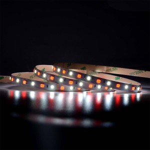 5050 60LEDS/m RGBW LED 스트립