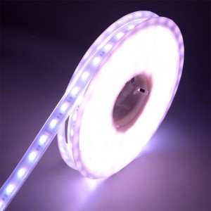 5050 60LEDS/m WRGBWW LED 스트립