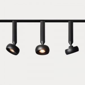 자기 궤도등 자석