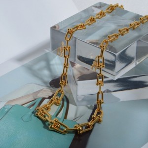 두꺼운 체인 목걸이 여성 유럽과 미국은 가벼운 고급 틈새 말굽 버클 쇄골 체인