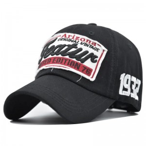 Unisex 조정 가능한 면화 사용자 정의 자수 로고가있는 6 개의 패널 장착 야구 모자 모자