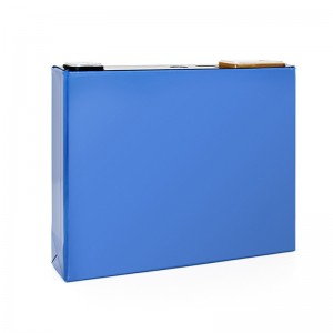 GOTION 3.2V 50A LIFEPO4 프리즘 셀 태양 에너지 저장 시스템 재충전 리튬 배터리