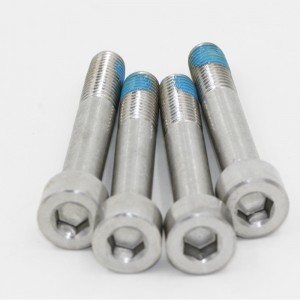 육각형 소켓 헤드 스테인레스 스틸 캡 나사