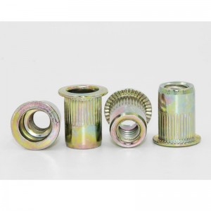 아연-컬러 도금 접시 머리 리벳 너트