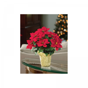 인공 휴가 식물