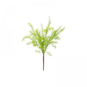 인공 해초 고사리