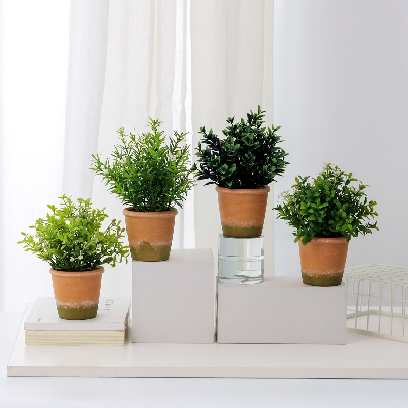 1638328110.jpg 3-.jpg