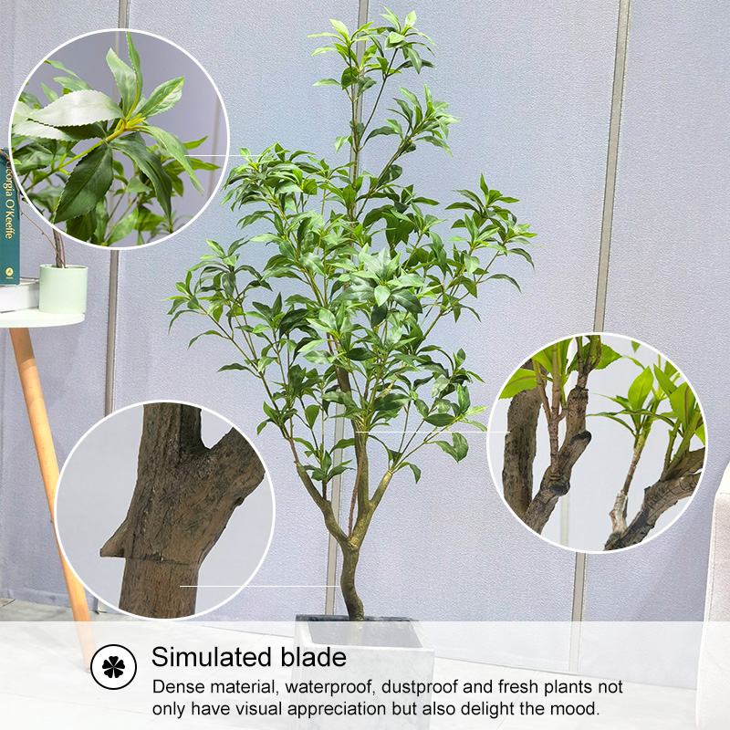 1706494786.jpg 8.jpg