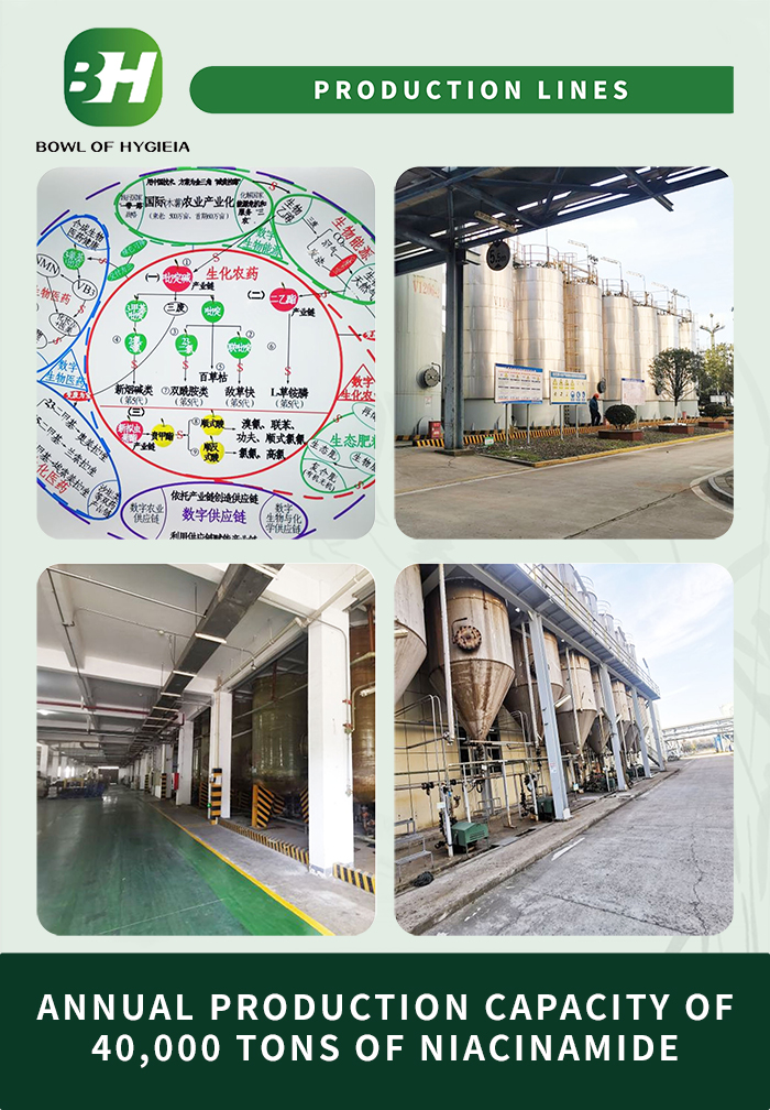 1704264918.jpg 3.jpg