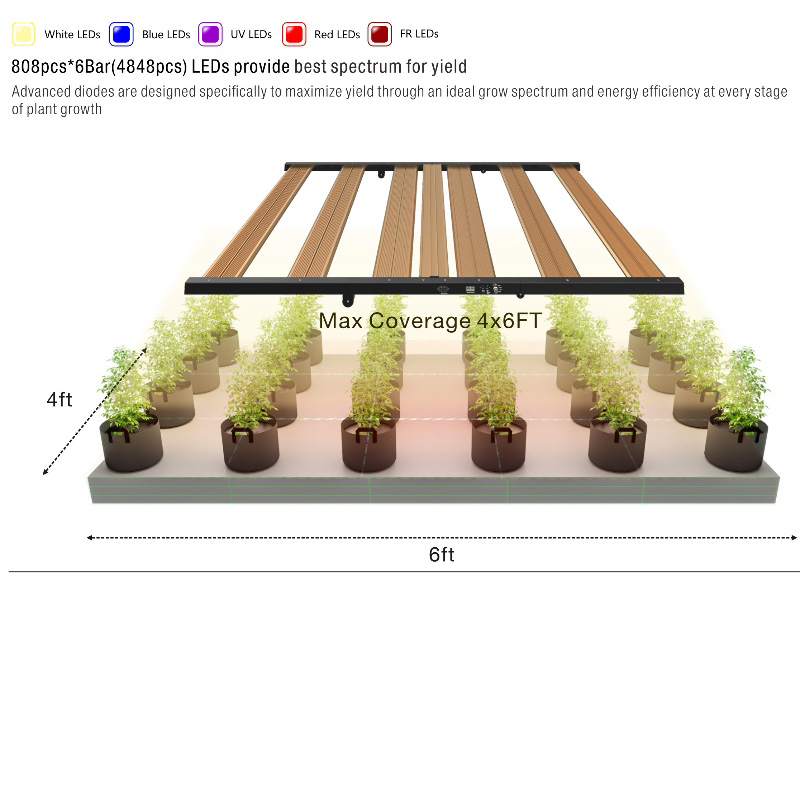 1704193063.jpg 13.jpg