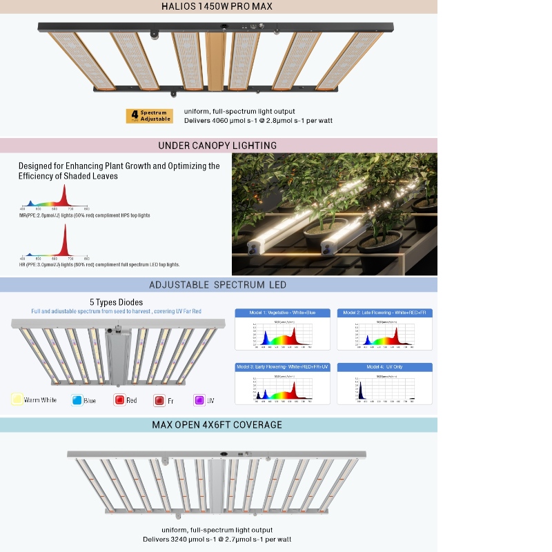 1704358755.jpg 1.jpg